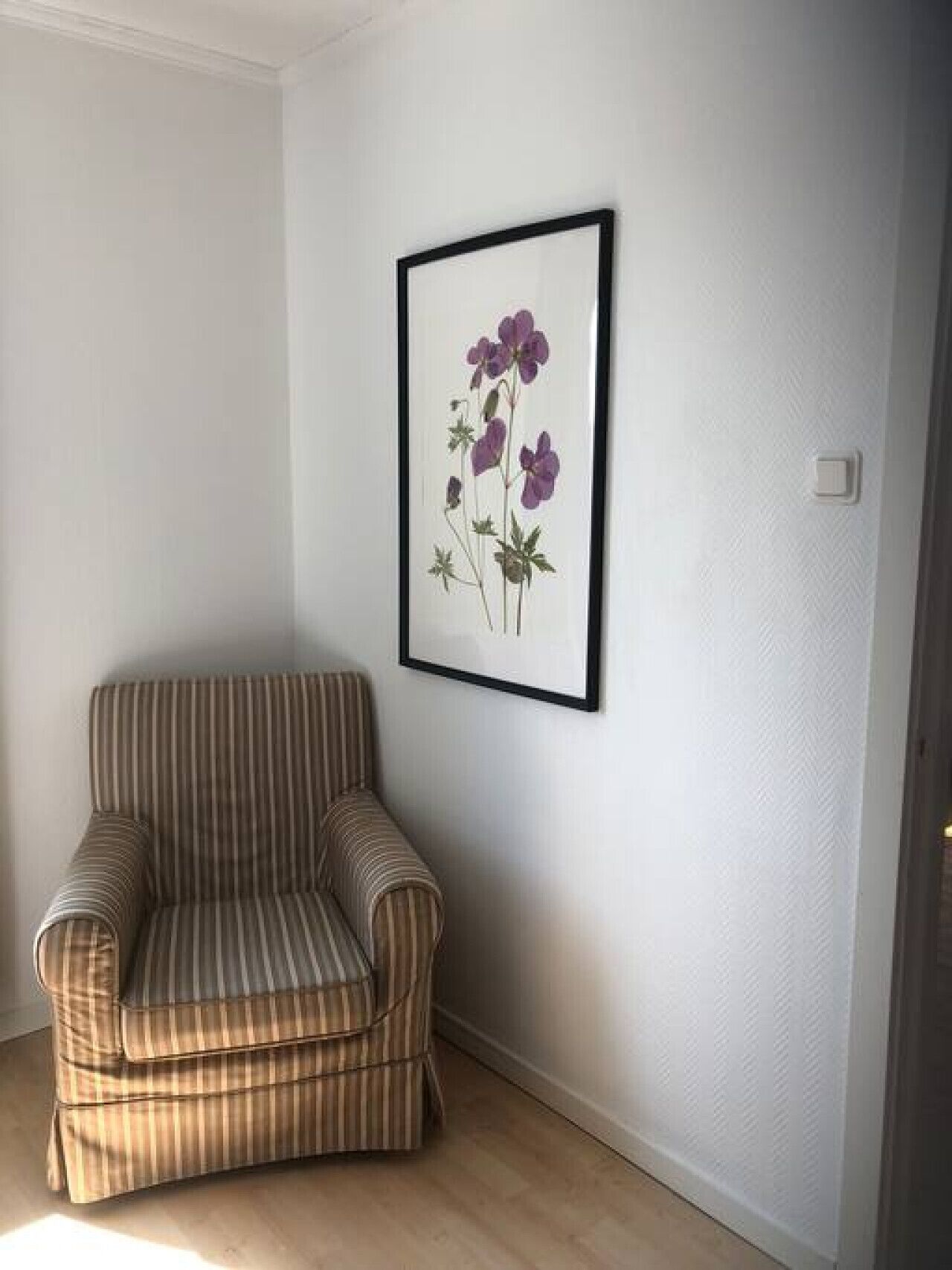 En randig fåtölj i ett hörn, med en inramad botanisk tavla på väggen.