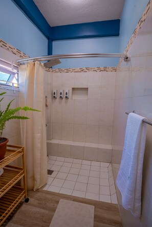 Hair dryer, towels, soap, toilet paper - Our spacious, air-conditioned home embodies style, luxury, and eco-friendliness. (Portsmouth)