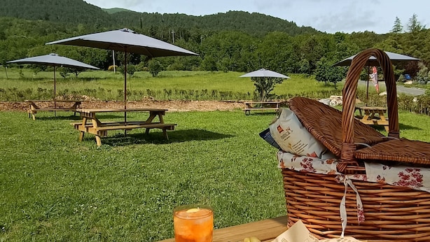 A picnic setup with a basket, sandwiches, and a drink on a wooden table, with picnic tables and umbrellas in a grassy field under a clear sky. - Ostello Altevie (Guardiagrele)