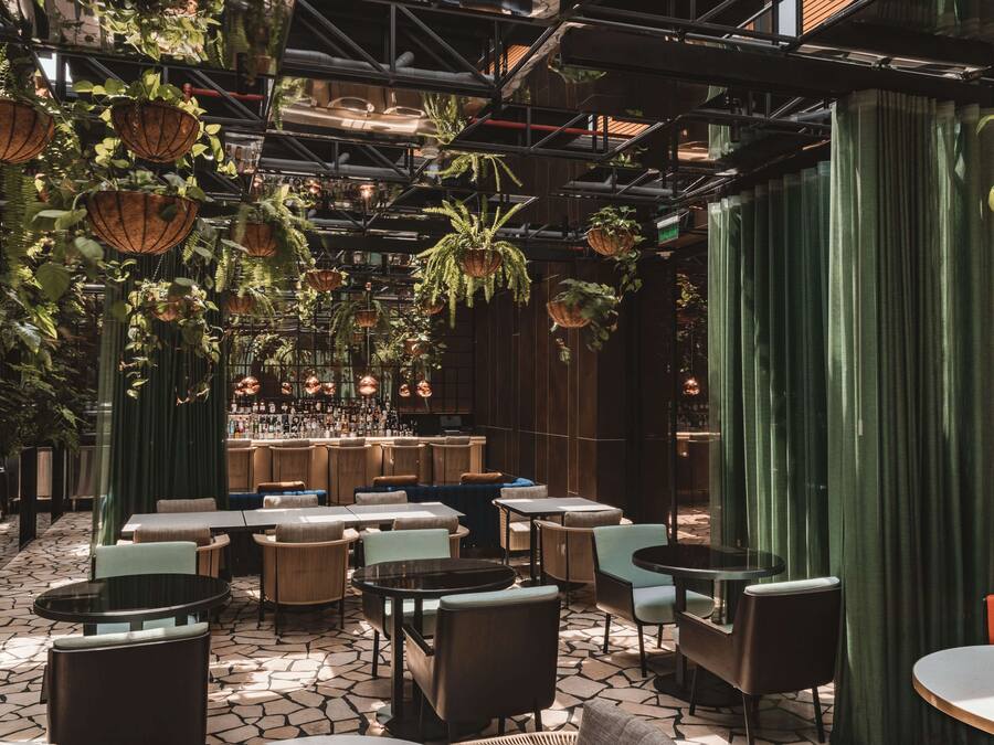 Un restaurante con plantas colgantes, mesas y sillas.
