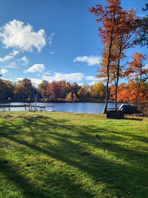 Animaux de compagnie acceptés