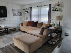 Smart TV, fireplace, DVD player, books