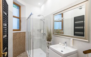 Enjoy a refreshing shower in the bathroom, featuring a glass-enclosed shower with handheld showerheads and a stylish vanity with a sink and mirror.