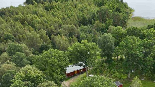 Uklassifisert bilde, 1 av 35, knapp