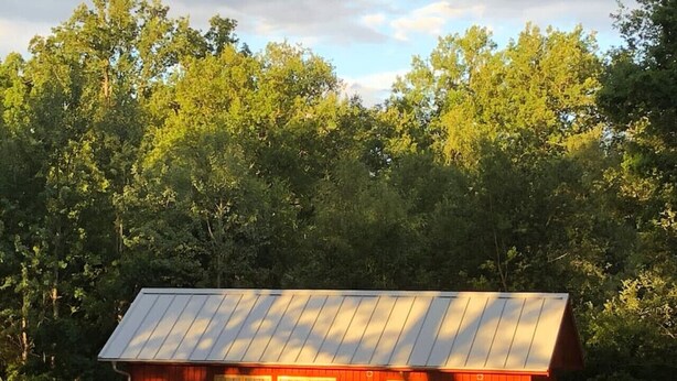 Ein kleines, einstöckiges Gebäude mit geneigtem Metalldach, umgeben von dichter Vegetation.