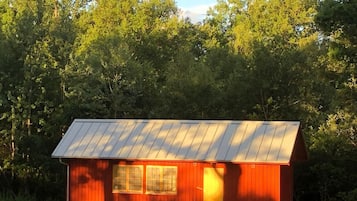 Eksteriør