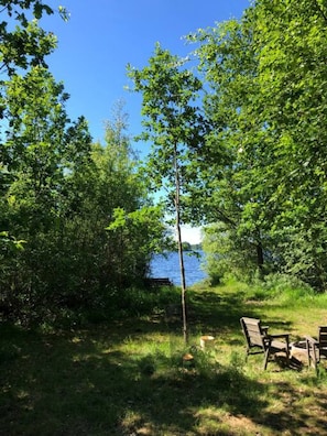 A natural setting with a lake, trees, and a bench.