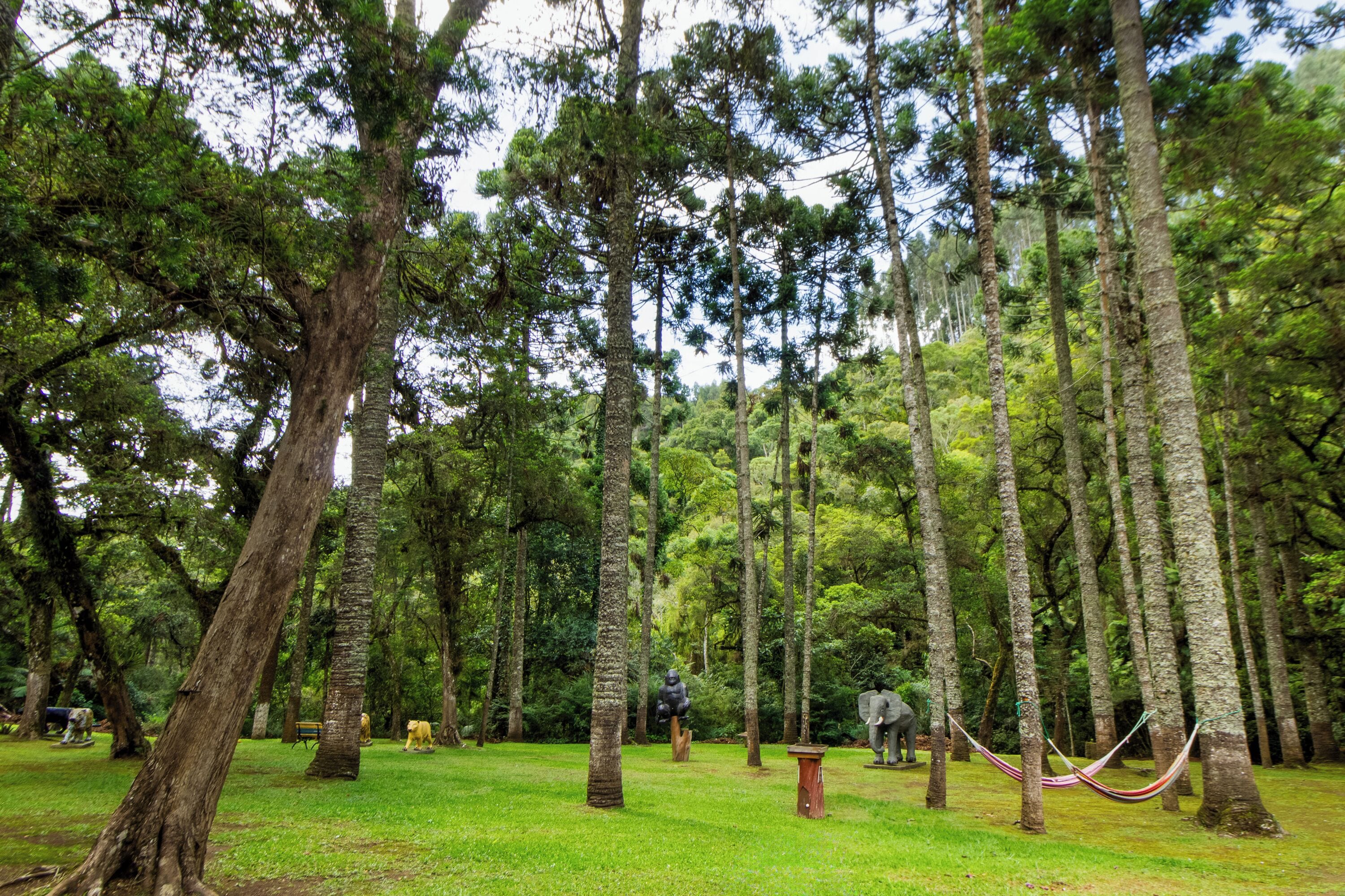 Foto - VELINN Áustria Hotel Monte Verde