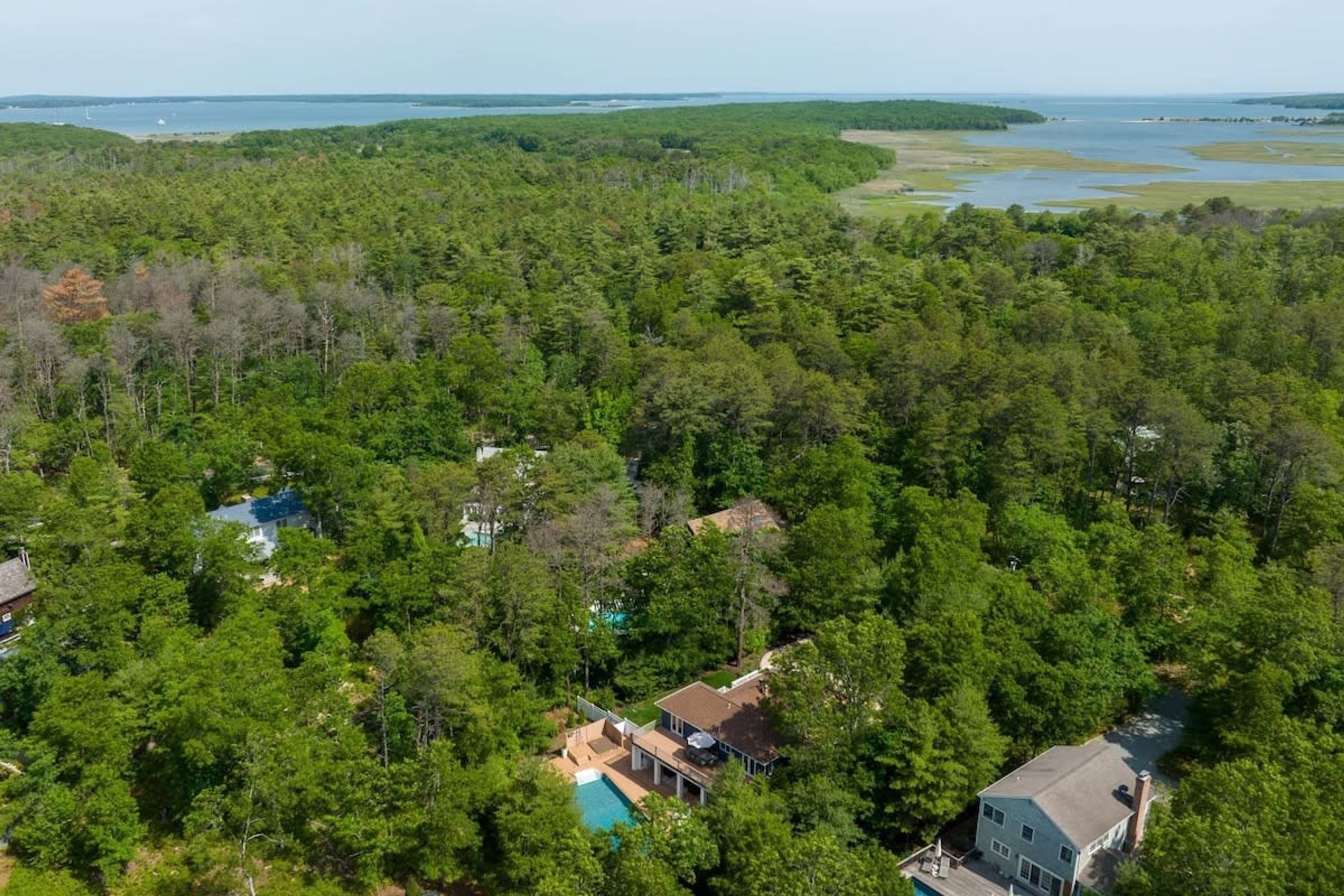 A residential area with multiple houses surrounded by dense forest, a visible swimming pool, and a large body of water in the background.