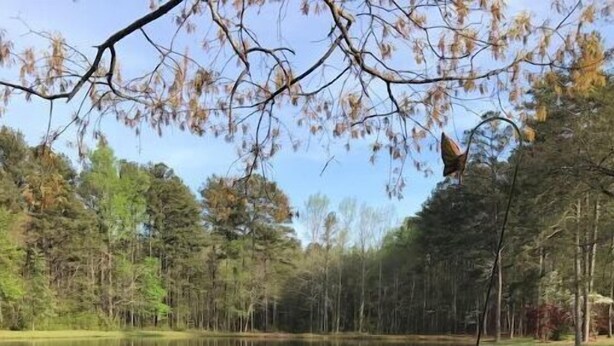 Une table en verre avec deux verres à vin, posée sur une terrasse en bois donnant sur un lac entouré d’arbres.