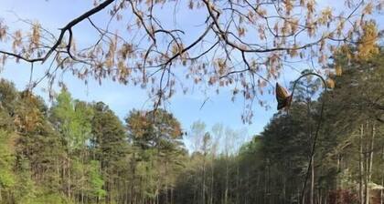 Cozy Cottage Nestled on Waters Edge