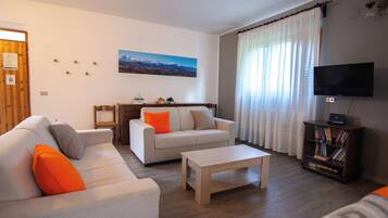 Smart TV, fireplace, books