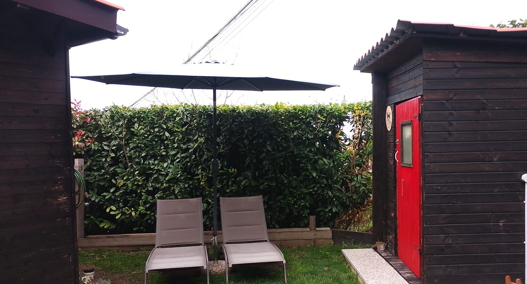 Un patio con dos sillas, un paraguas grande, un cobertizo de madera y un seto al fondo.