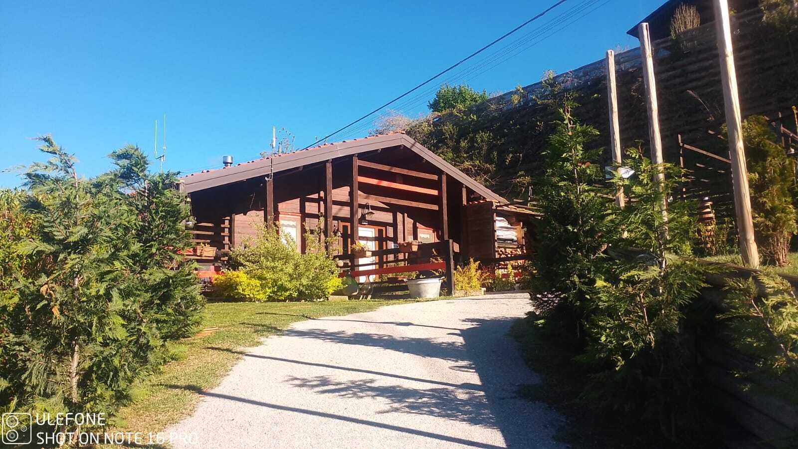 A wooden cabin with a gravel path leading to it, surrounded by greenery.