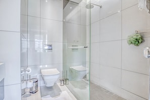 Shower, hair dryer, bidet, towels