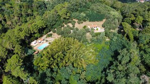 Vista aérea de una propiedad rodeada de un bosque denso, con piscina, un edificio pequeño y una cancha de tenis.