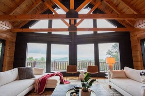 TV, fireplace, video games, books