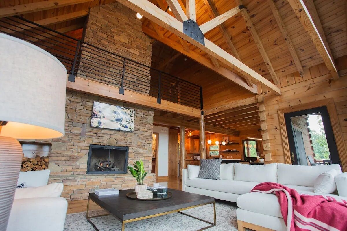 TV, fireplace, video games, books