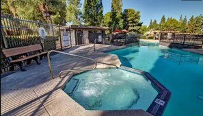 Pool - Family Home, New ew Pool, Parks, Private Patio (Mesa)