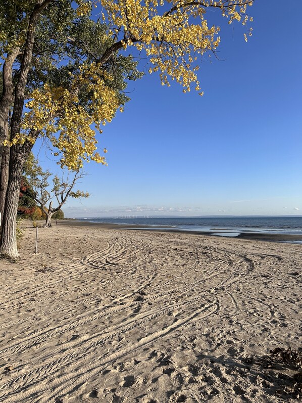 Strand