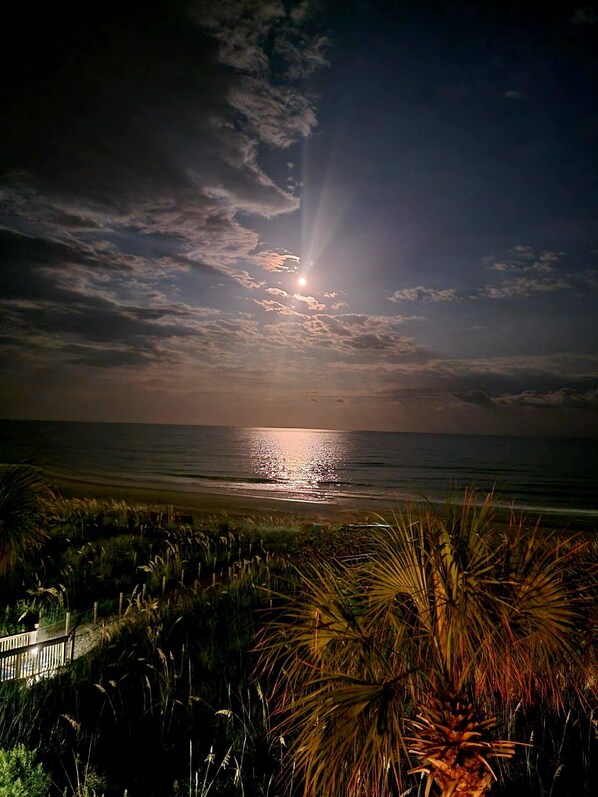 En la playa, toallas de playa