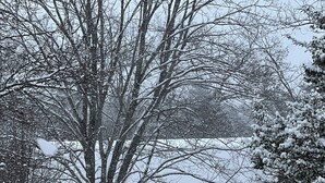 A snow-covered landscape with a building that has a wooden deck and a snow-covered roof.