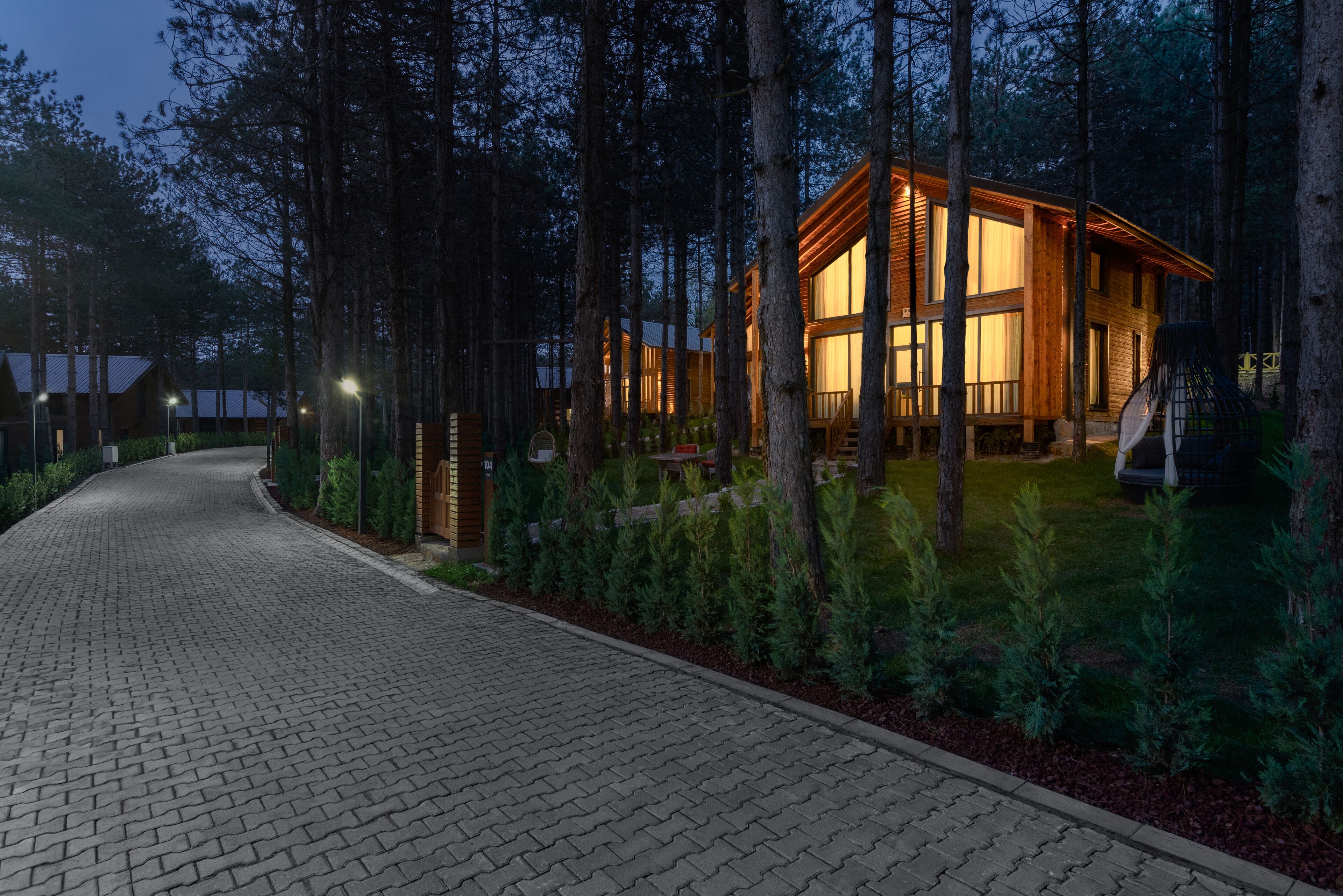 A wooden cabin with large windows, surrounded by a forested area and a paved driveway.