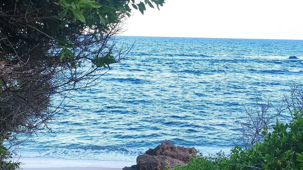 A beach with a rocky path leading to the shore, surrounded by greenery.