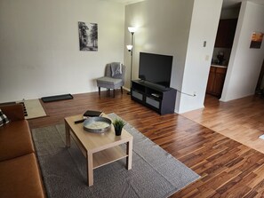 Living area - Chic 1 Bd Great for Travel Professionals! (Mentor)