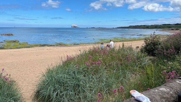 A beach with a sandy shore, green vegetation, and a clear blue sky. - Stunning location - beachfront ground floor flat with private parking. Fab views (North Berwick)