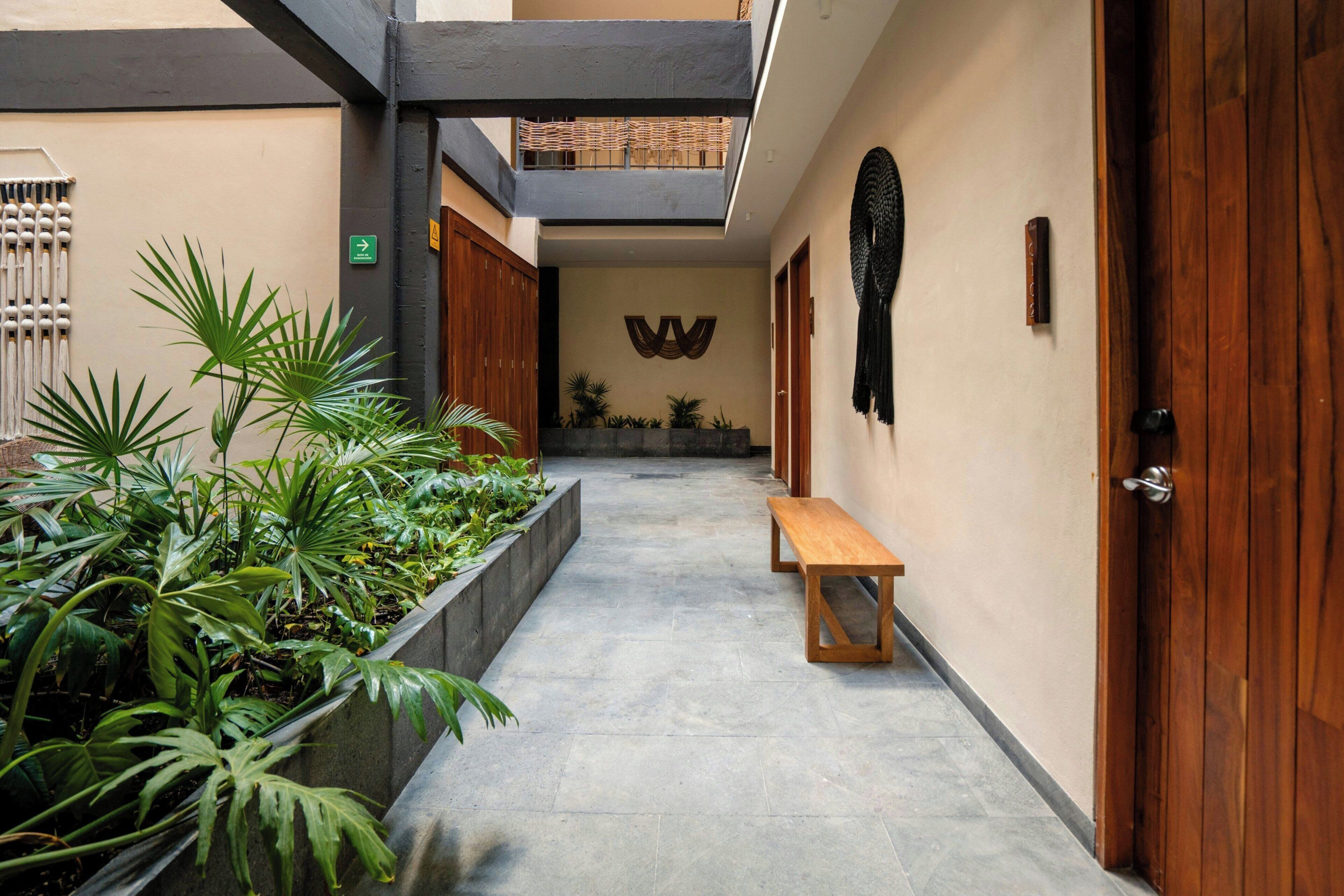 Un couloir avec un banc en bois, des plantes en pot et un élément décoratif fixé au mur.