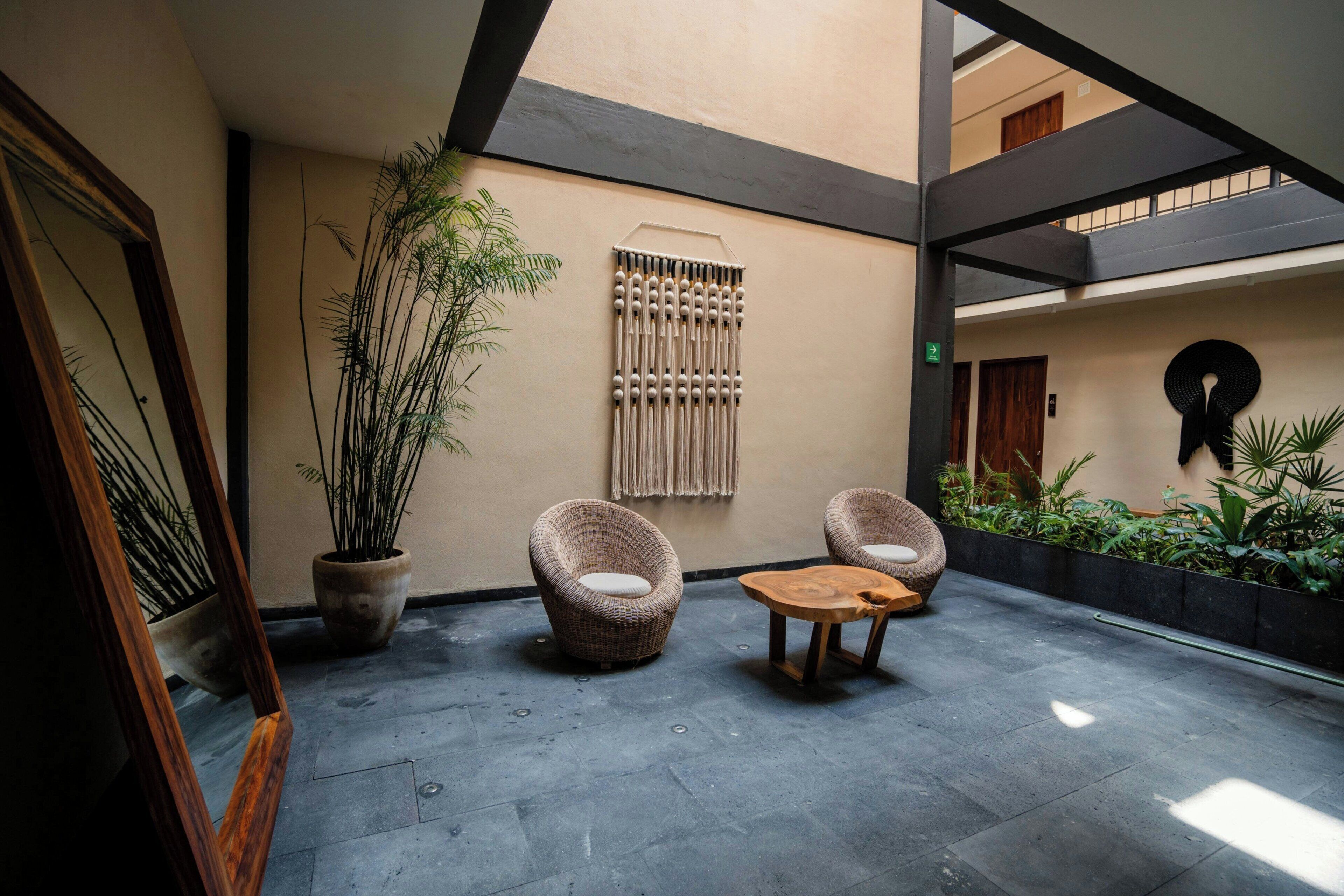 Un espace intérieur spacieux comprenant deux fauteuils en osier et une table en bois, ainsi qu’une grande plante en pot et une décoration murale en macramé.