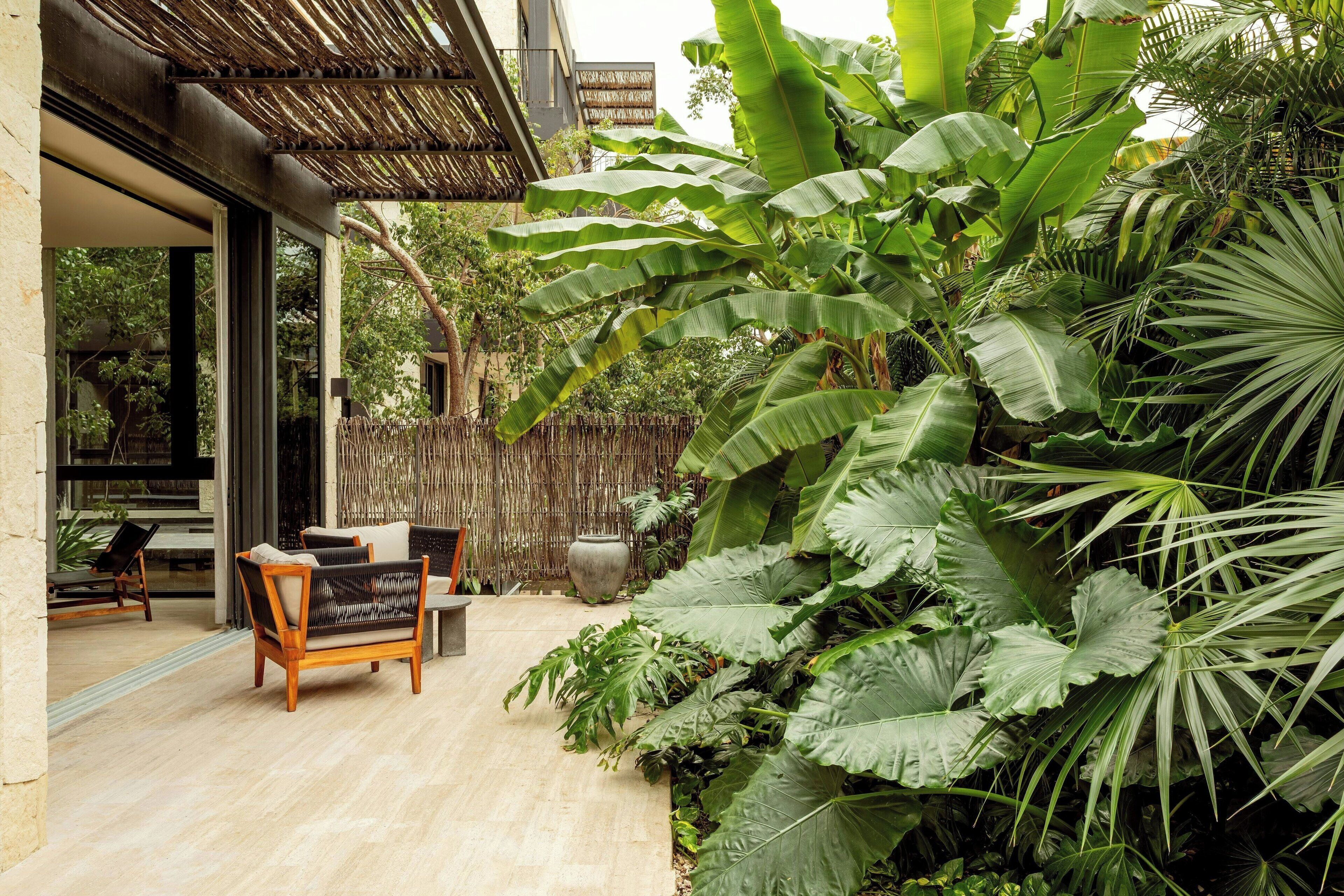 Un patio al aire libre con un banco de madera, una mesa y exuberante vegetación tropical.