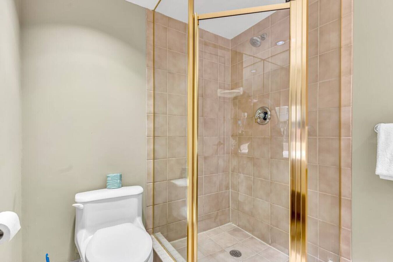 Un bagno con doccia, WC e porta asciugamani.