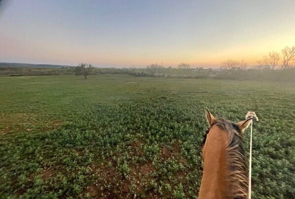 Golf - Dry Campground for April 2024 Eclipse!
(Llano)