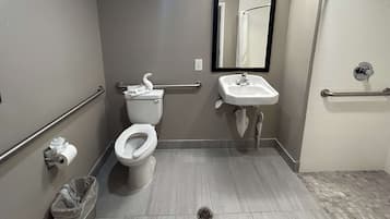 Une salle de bain équipée de toilettes, d’un lavabo, d’un miroir et d’une barre d’appui.
