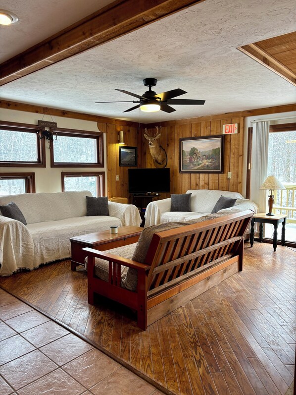 Smart TV, fireplace, DVD player, books