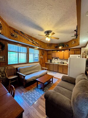 Smart TV, fireplace, DVD player, books