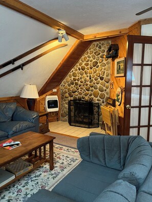 Smart TV, fireplace, DVD player, books