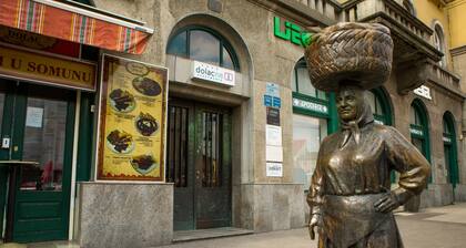 Spacious A1 Dolac apartment in charming center of Zagreb