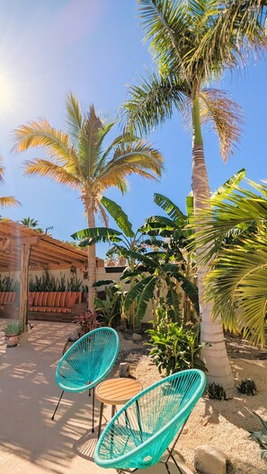Terrace/patio - Pufferfish Villas - Baja Lux Villa 2 (Loreto)