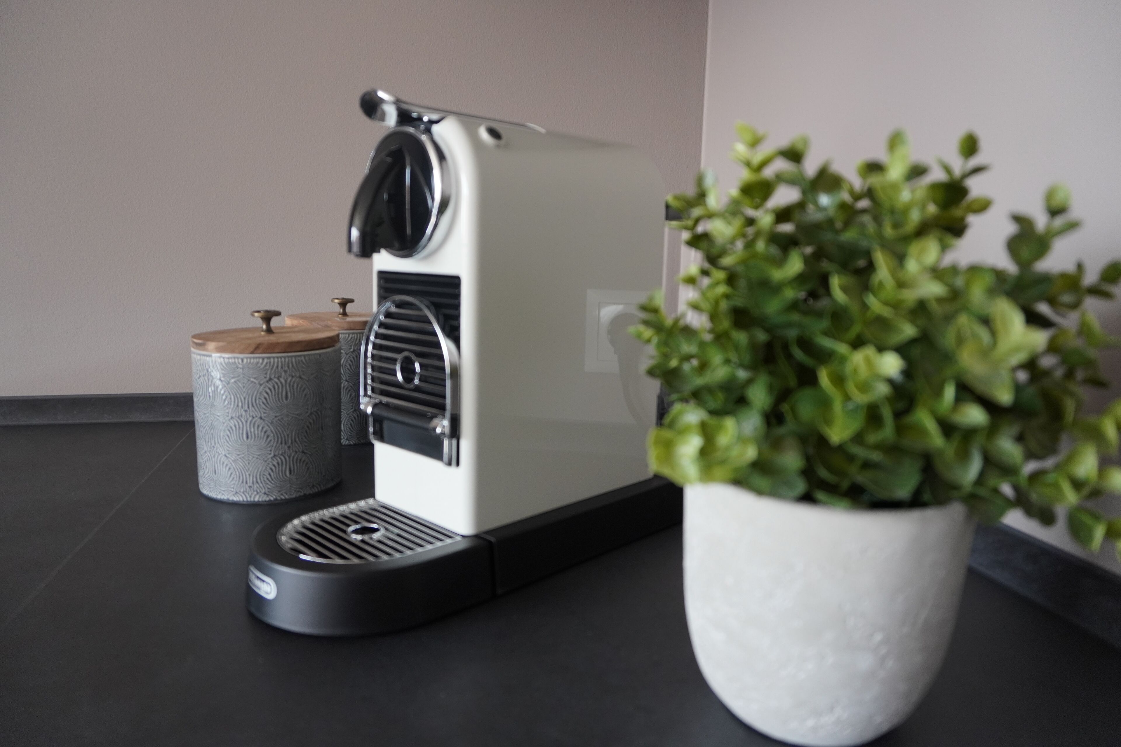 A modern kitchen with a coffee machine, a trash bin, and a potted plant.
