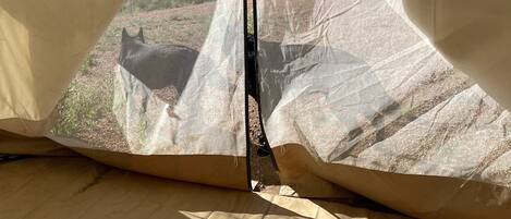 Vista desde la propiedad