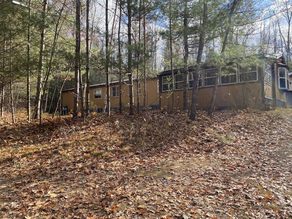A forested area with a row of small, single-story buildings, likely cabins or houses, surrounded by trees and covered with fallen leaves.