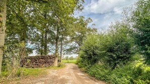 A rural road flanked by trees and a stack of firewood. - Lovely home in Putten with kitchen (Putten)
