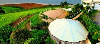 Paradise of Naturalness 1-Bedroom Caravan