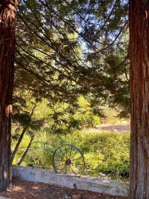 Property grounds - The Shopkeeper's Cottage ~ CHIC! (Amador City)