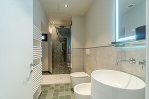 Regadera, secadora de cabello, bidet, toallas 