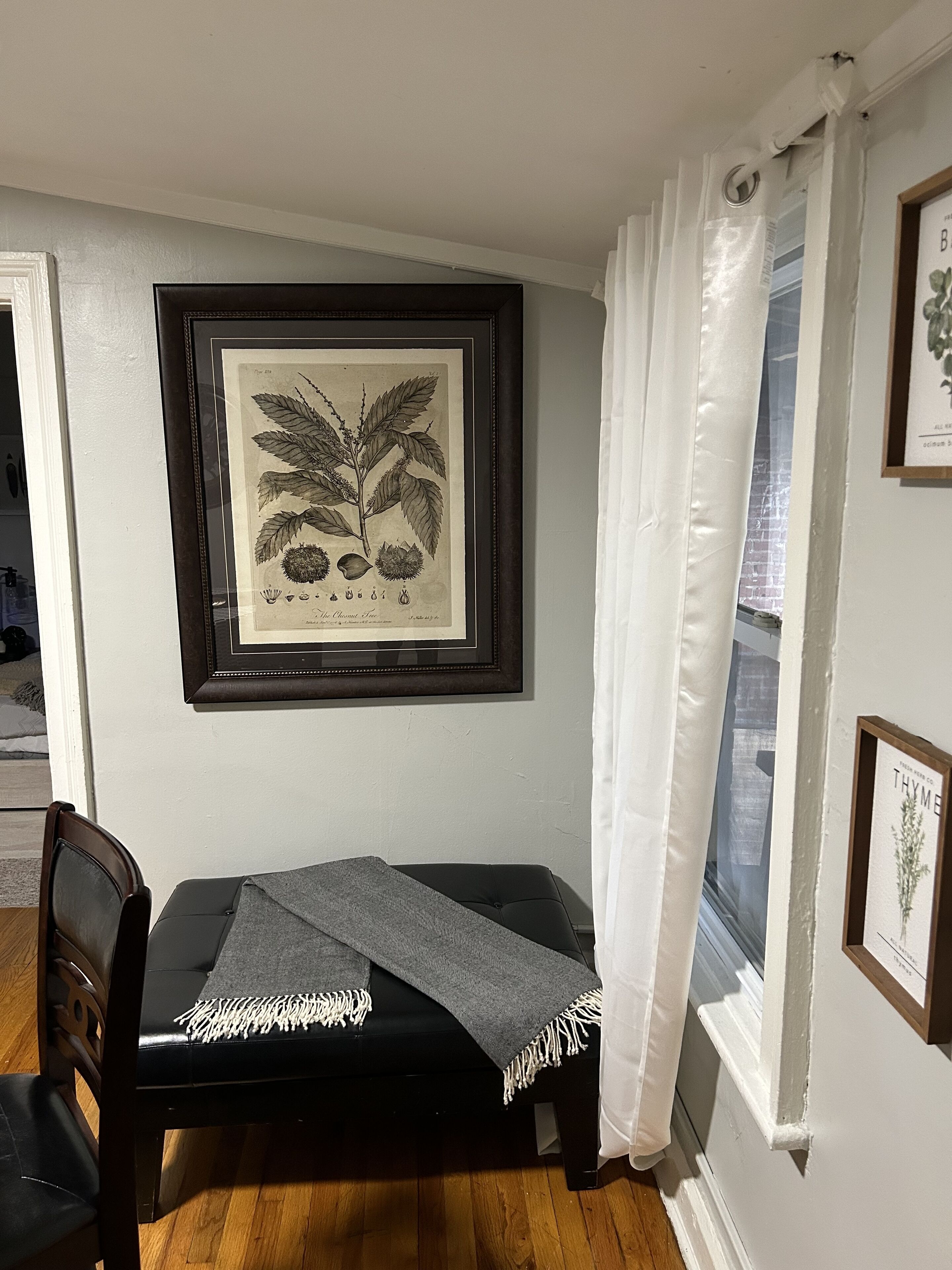 A small dining area with a black bench, a framed botanical illustration, and a window with white curtains.