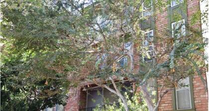 Larchmont Village/Hancock Park furnished sublet